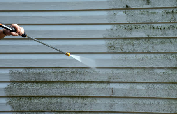 Home Mold Removal in Picnic Point, WA